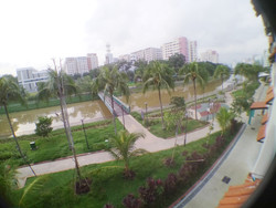 Blk 123 Pasir Ris Street 11 (Pasir Ris), HDB Executive #165081292
